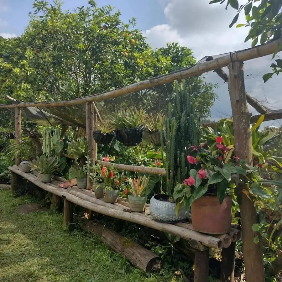 Finca Villa Hailey Cali