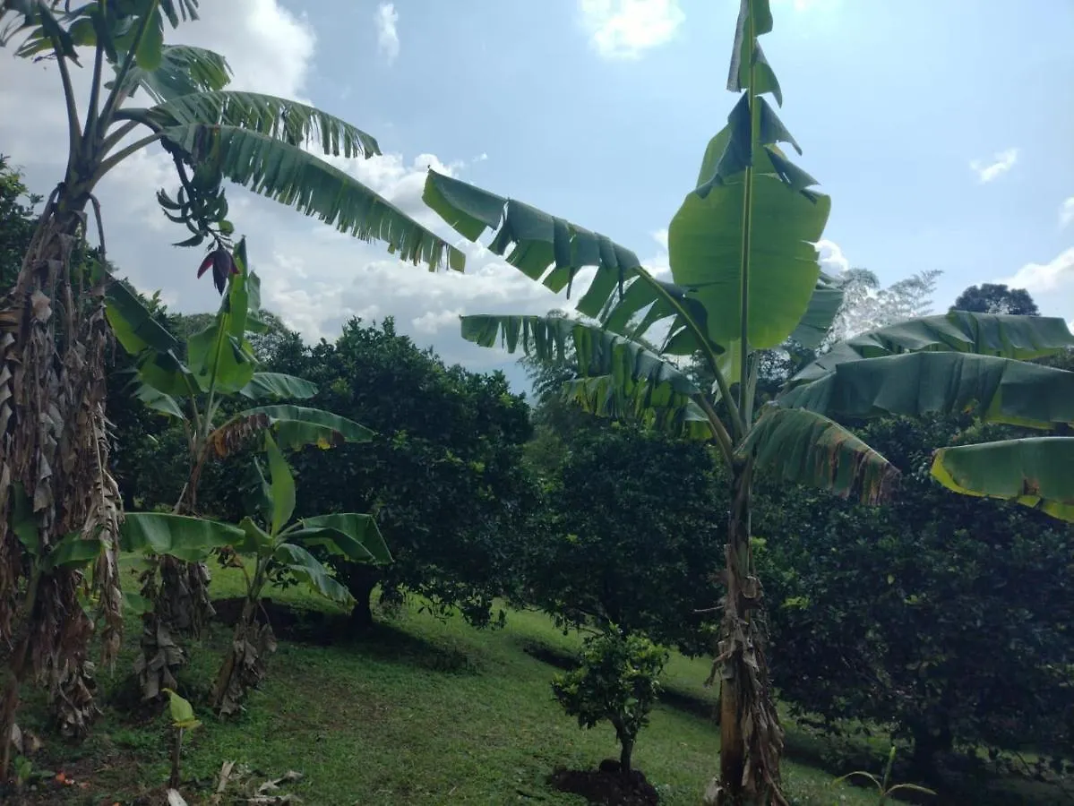 Finca Villa Hailey Cali Holiday home