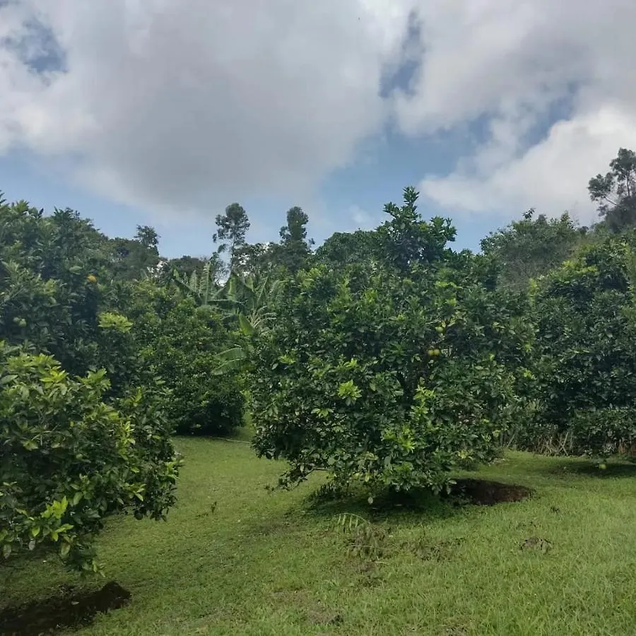 Holiday home Finca Villa Hailey Cali